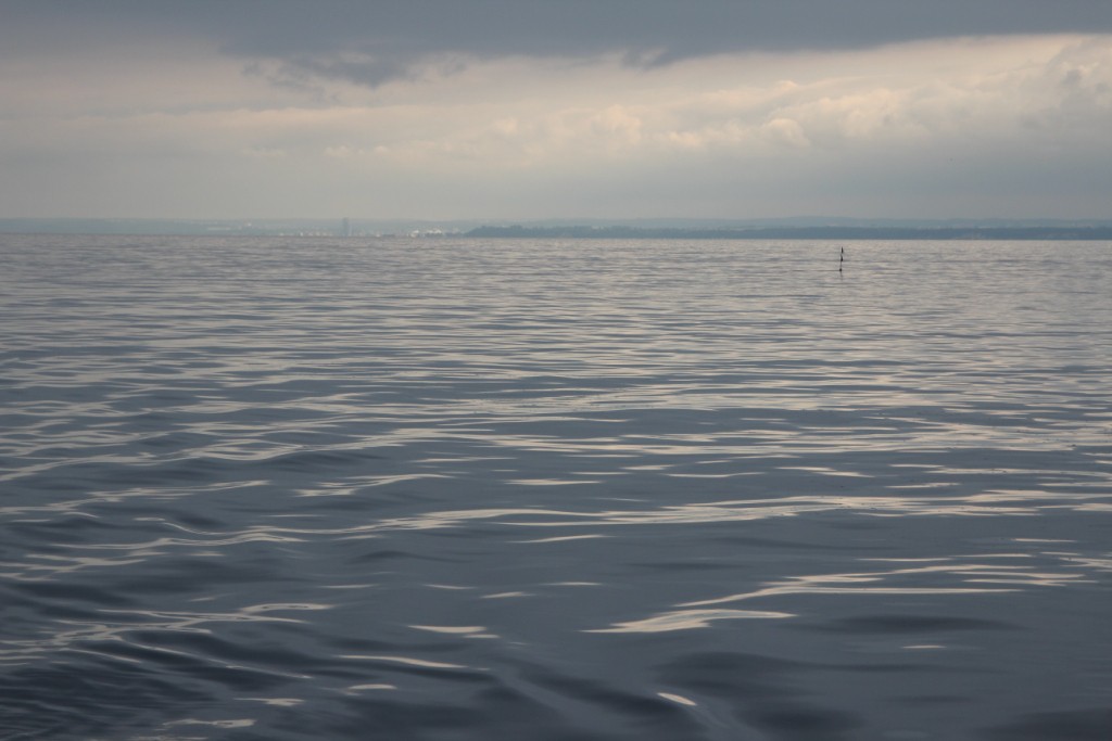 widok gdyni z jastarni